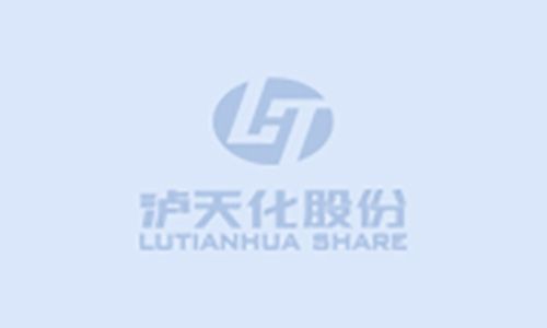 2024年环境、社会与治理（ESG）报告