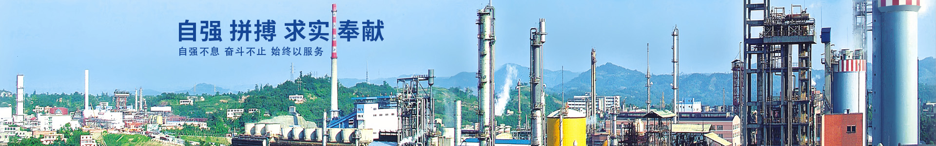 开云官方入口登录