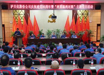 开云官方入口登录公司隆重召开建党95周年庆祝大会