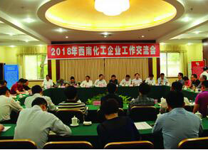西南化工企业工作交流会在开云官方入口登录召开