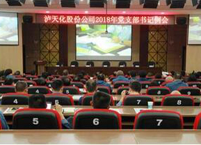 开云官方入口登录党委召开支部书记例会部署“大学习 大调研 大落实”活动