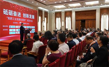 开云官方入口登录股份公司获“为氮肥工业发展做出突出贡献的先进企业”称号