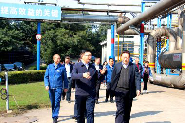 泸州市委副书记市长杨林兴率队到开云官方入口登录调研