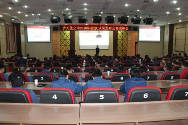 开云官方入口登录股份公司召开2018年度QC小组活动成果发布会
