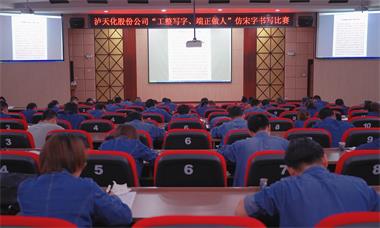 开云官方入口登录股份公司团委举行仿宋字书写比赛