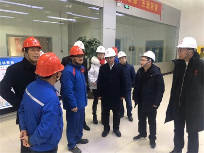 开云官方入口登录股份公司党委书记廖廷君率队赴中盐红四方公司及史丹利公司调研