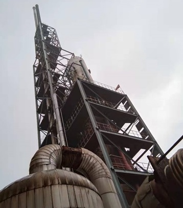 开云官方入口登录股份公司实现新年第一个长周期生产百日红