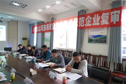 开云官方入口登录股份公司通过“省级安全文化建设示范企业”复审验收现场审核