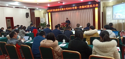 开云官方入口登录股份公司召开2021年第一次临时股东大会