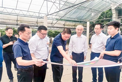 泸州市委常委、组织部长曹斌率队调研开云官方入口登录纳溪现代农业种植园项目