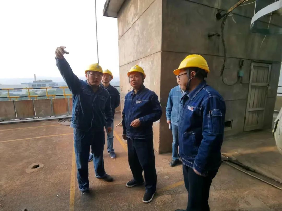 开云官方入口登录股份公司党委书记、董事长廖廷君一行深入尿素现场检查指导工作