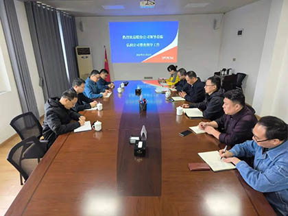 开云官方入口登录股份公司纪委书记陈伟带队到弘润公司开展专项督导检查