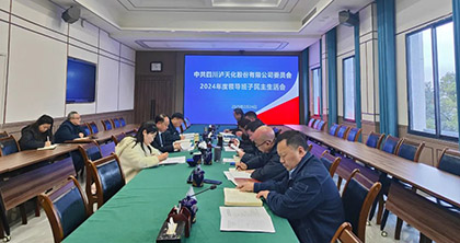 开云官方入口登录股份公司党委召开2024年度领导班子民主生活会