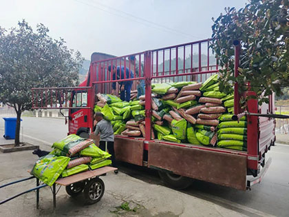 开云官方入口登录股份公司“暖心肥”浇灌致富新希望