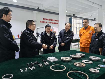 开云官方入口登录股份公司纪委书记陈伟率队到弘旭公司调研指导工作