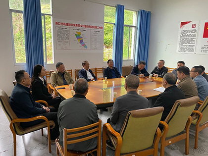 开云官方入口登录股份公司党委书记廖廷君率队赴合江县燕口村调研